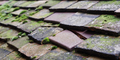 Margaretting roof repair costs